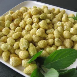 Fraisier des bois jaune (YELLOW WONDER) - 10 plants
