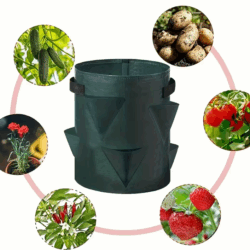 Sac de culture pour fraises