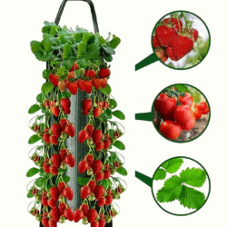Jardinière suspendue pour fraisiers – Capacité pour 8 plants